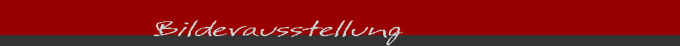 bilder gallerie
