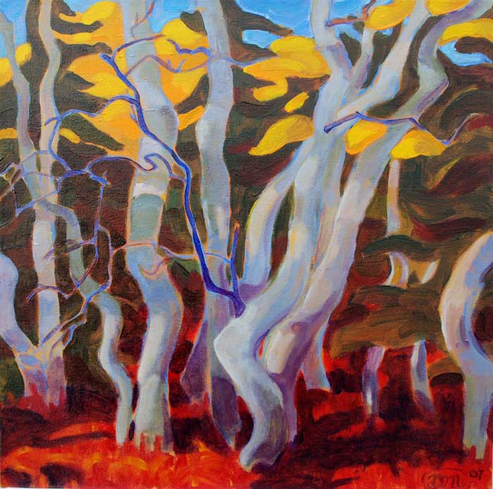 Boogie Woogie Aspens on the 3km Carcross 22x22