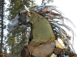the horse's mane was first a desaster.