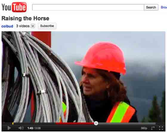 icon of YouTube.com share of video