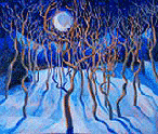 midwinter aspen boogie