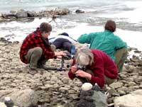 taking photos on beach