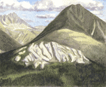 gray range in summer