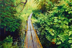 "Walk This Way" - "Boardwalks over the BeaverPonds