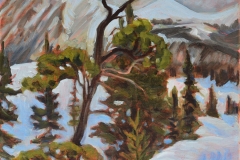 Carcross Desert in January copy